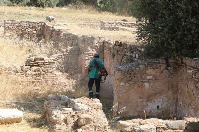 Efeler’den Tralleis Antik Kenti’nde Kuru Ot Temizliği