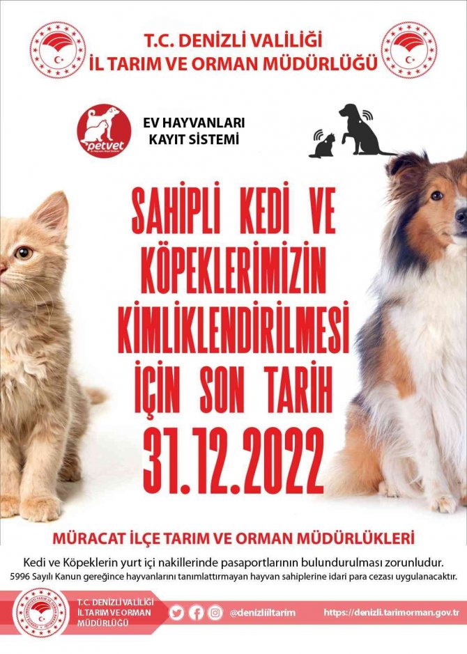 Sahipli Kedi Ve Köpeklerin Yıl Sonuna Kadar Kimliklenmesi Gerekiyor