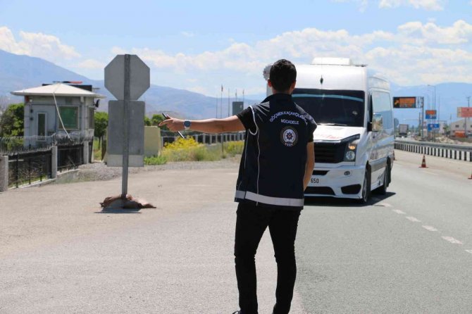 Düzensiz Göçle Mücadele Dâhilinde 6’ıncı Huzur Operasyonu Gerçekleştirildi