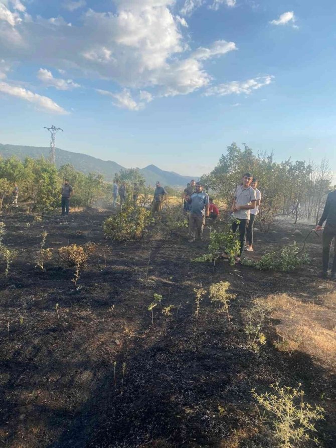 Elazığ’da Ormanlık Alanda Çıkan Yangın Büyümeden Söndürüldü