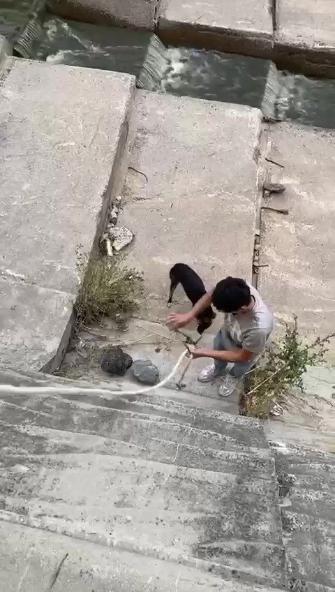 Sultanbeyli’de Dere Yatağına Düşen Köpeği Gençler Halatla Kurtardı