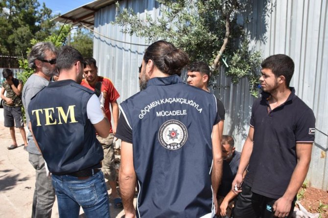 Düzensiz Göçle Mücadele Operasyonlarında Bin 543 Düzensiz Göçmen Yakalandı