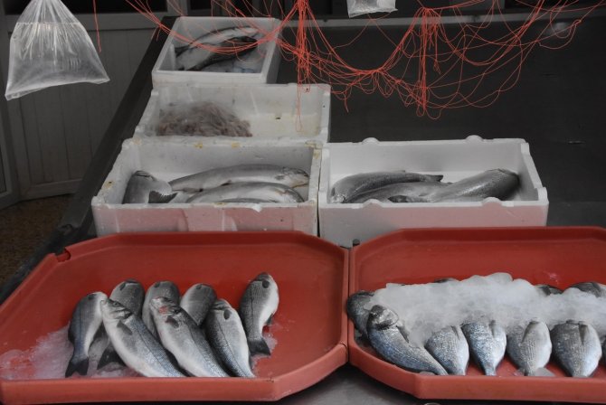 Sinop’ta Balık Tezgahlarında Son Durum