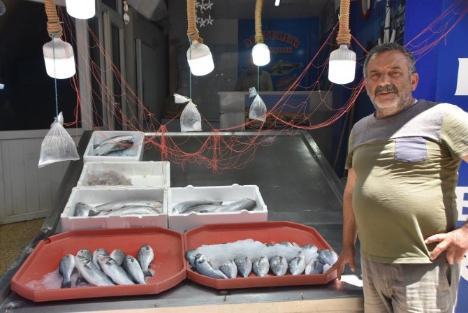 Sinop’ta Balık Tezgahlarında Son Durum