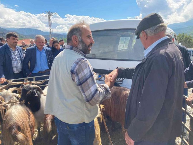 Hanönü’de Kurbanlık Hayvan Pazarı Açıldı