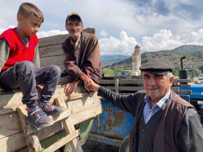 Hanönü’de Kurbanlık Hayvan Pazarı Açıldı