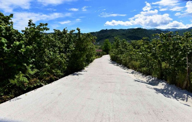 Altınordu’da 43 Mahallenin Beton Yol Çalışması Tamamlandı