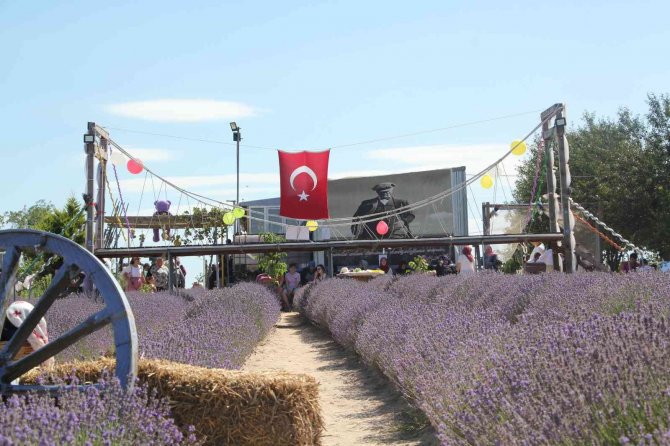 Tekirdağ’da Lavanta Tarlalarına 1 Milyon Ziyaretçi Hedefleniyor
