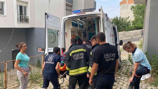 Dut Toplamak İçin Üzerine Çıktığı Bahçe Duvarı Çöktü