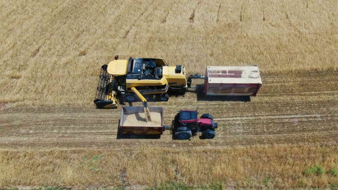 Tunceli’de Hasadına Başlanan Arpa, Çiftçinin Yüzünü Güldürdü