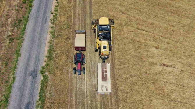 Tunceli’de Hasadına Başlanan Arpa, Çiftçinin Yüzünü Güldürdü