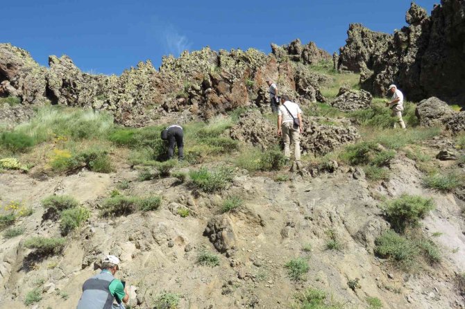 Tunceli’de Bitki Envanteri Çıkarılıyor