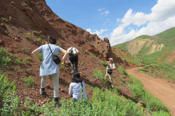 Tunceli’de Bitki Envanteri Çıkarılıyor