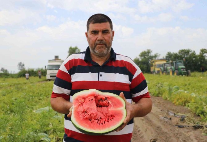 Karpuzun Fiyatı Yarı Yarıya Düştü