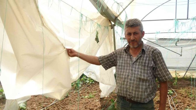 Salatalık Seralarını Hortum Vurdu