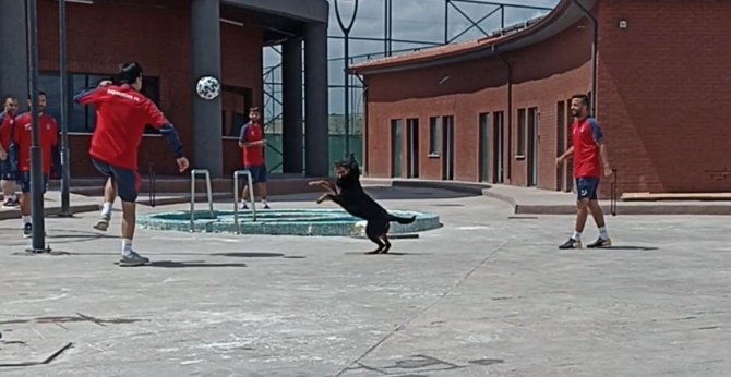 Medipol Başakşehirli Futbolculardan Sevimli Rakibe Çalım