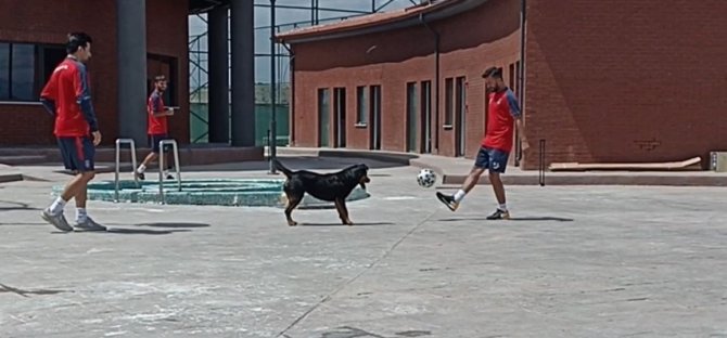 Medipol Başakşehirli Futbolculardan Sevimli Rakibe Çalım