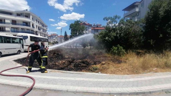 Manavgat’ta Boş Arsalardaki Kuru Otlar Yangın Tehlikesi Oluşturuyor
