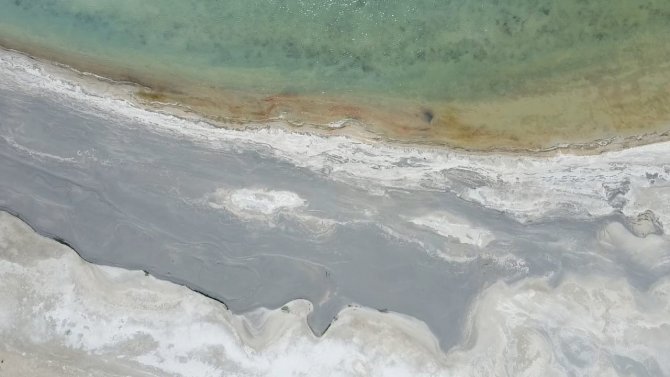 Kuş Cenneti Arin Gölü Yok Olma Tehlikesiyle Karşı Karşıya