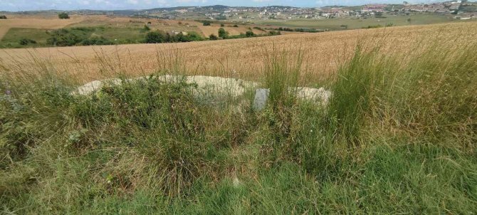 Arnavutköy’de Define Avcıları Tarlaları Delik Deşik Etti
