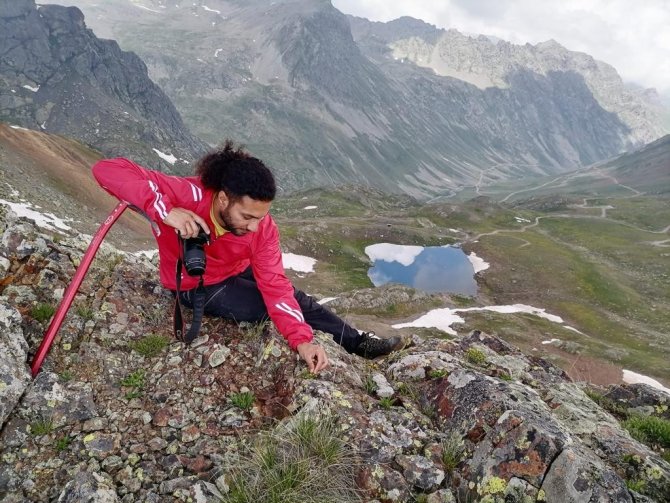 Yusufeli’nde Yeni Bir Çiçek Türü Keşfedildi