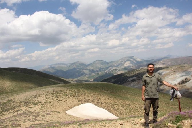 Yusufeli’nde Yeni Bir Çiçek Türü Keşfedildi