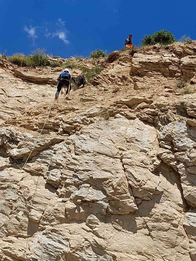 Kayalıklarda Mahsur Kalan Keçi 4 Gün Sonra Kurtarıldı