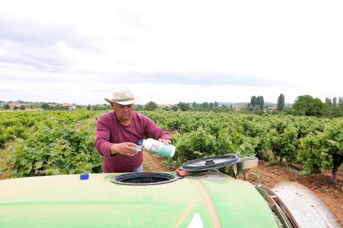 Büyükşehirden Üreticiye Zirai İlaç Desteği