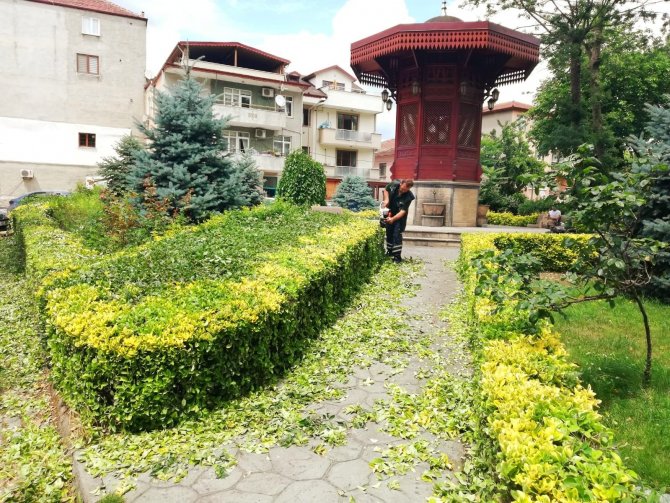 Derince’de Çevre Çalışmaları Sürüyor