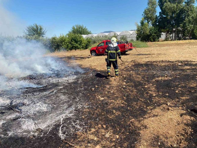 Muğla’da 6 Ayda 385 Anız Yangını