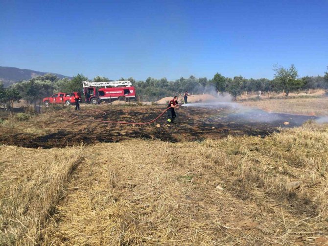Muğla’da 6 Ayda 385 Anız Yangını