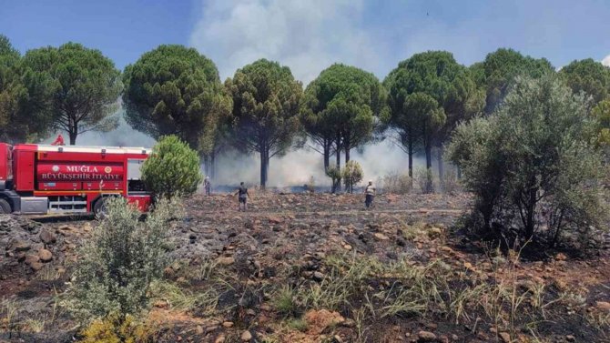 Köyceğiz’de Orman Yangını Kısa Sürede Söndürüldü