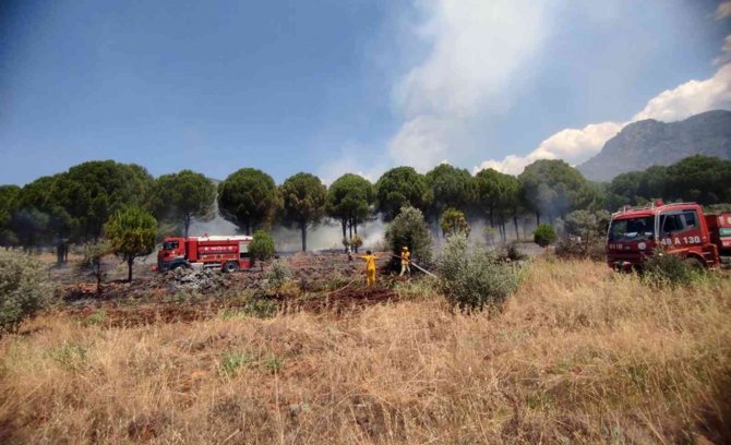 Köyceğiz’de Orman Yangını Kısa Sürede Söndürüldü