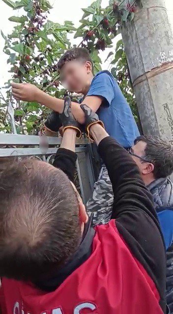Dut Toplamak İsteyen Çocuğun Eline Korkuluk Demiri Saplandı