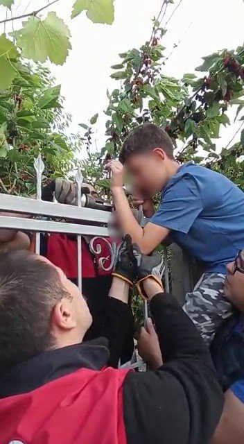 Dut Toplamak İsteyen Çocuğun Eline Korkuluk Demiri Saplandı