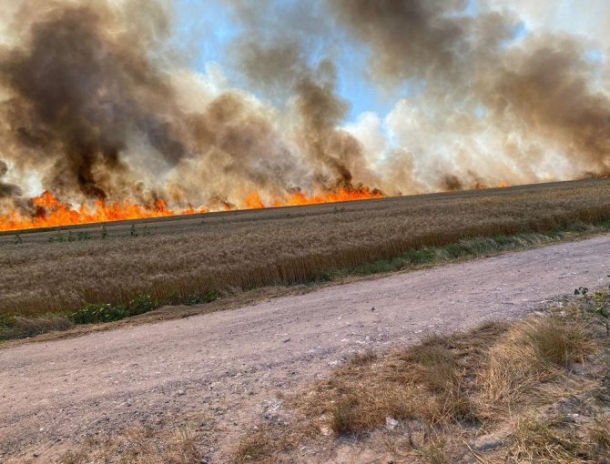 İ̇stanbul - Tekirdağ Sınırında Korkutan Yangın: 500 Dönüm Buğday 15 Dakikada Küle Döndü