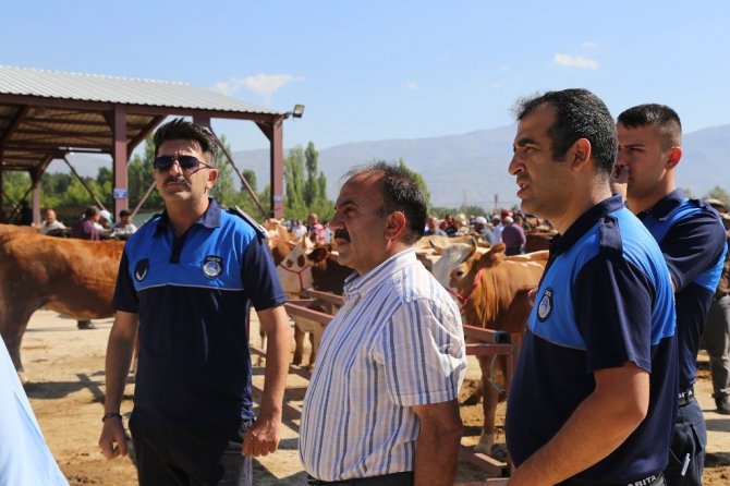 Zabıta Ekipleri Hayvan Pazarını Denetledi