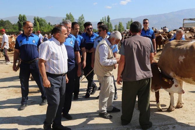 Zabıta Ekipleri Hayvan Pazarını Denetledi