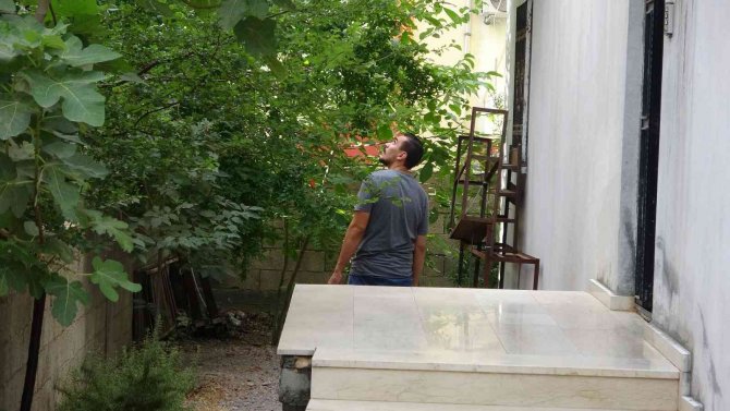 Hırsızlık Şüphelisi 5 Kadın Gözaltına Alındı