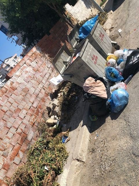 Milas Belediyesi Toplamadı, Ortalık Çöplüğe Döndü
