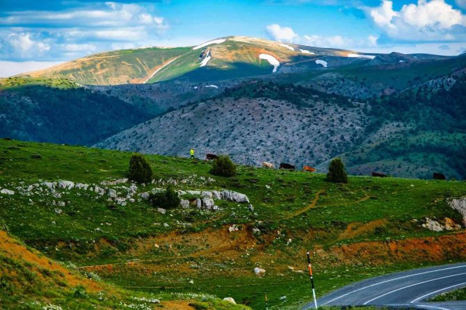 Akdağmadeni’nde Yaylacılık Geleneği Yaşatılıyor