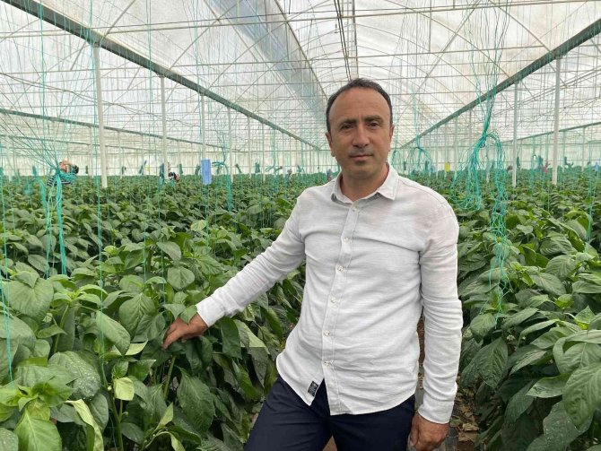 Kaliforniya Biberinde Ürün Açığını Burdurlu Üreticiler Kapatacak