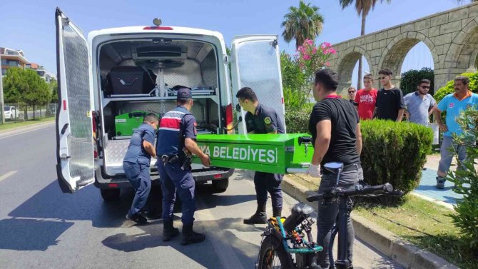 Bisikletle Yaya Geçidinden Geçerken Aracın Çarptığı Alman Hayatını Kaybetti