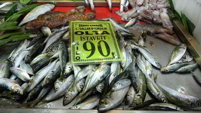 Çanakkale’de Sardalyanın Kilosu 120 Lira Oldu