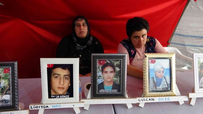 Evlat Nöbetindeki Anne Ayten Elhaman: "Hdp’nin Çocuk Hırsızı Ve Katili Olduğunu Herkes Bilsin"