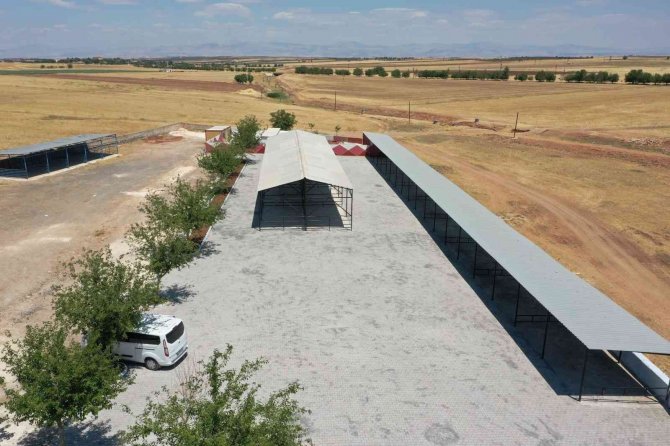 Hilvan Hayvan Pazarı Kurban Bayramına Hazır Hale Getirildi