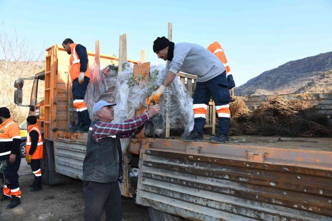 Başkan Altay 2023 Yılı Tarımsal Destek Başvuruların Başladığını Açıkladı