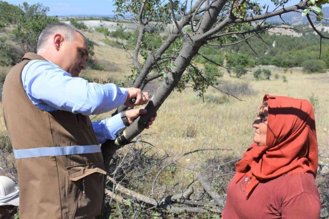 ’Menengiçten Antep Fıstığına Giden Yol’ Selendi’den Geçiyor