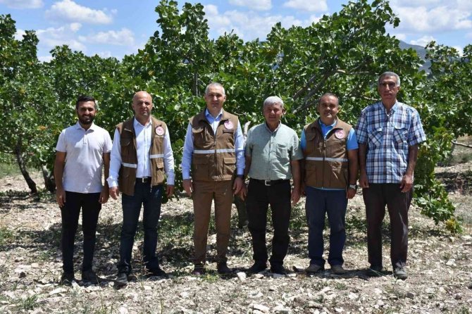 ’Menengiçten Antep Fıstığına Giden Yol’ Selendi’den Geçiyor