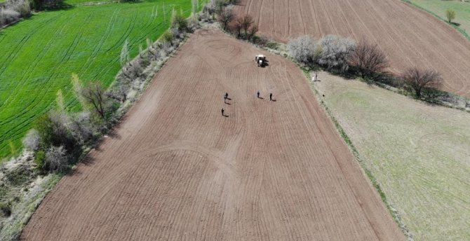 Tmo Hububat Alım Fiyatları Güncellendi
